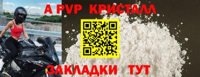 прущие грибы Можайск